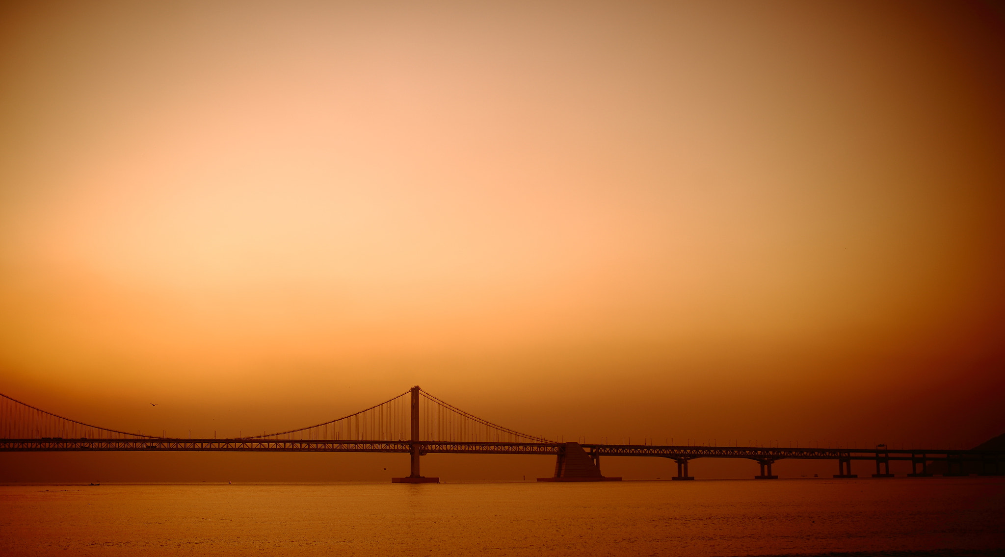 Canon EOS-1D X sample photo. Shot45 photography