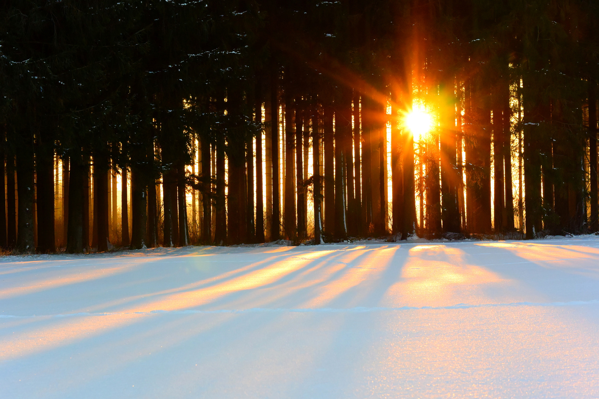 Nikon 1 V3 sample photo. Sunrise photography