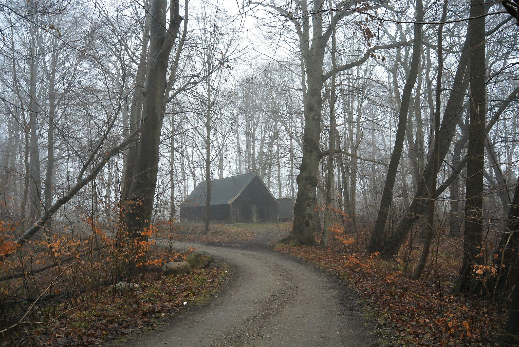 Nikon 1 Nikkor 11-27.5mm F3.5-5.6 sample photo. Abandoned... photography