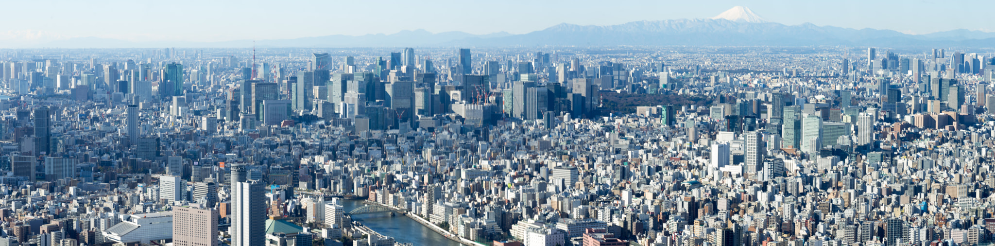 Nikon D600 sample photo. Tokyo photography