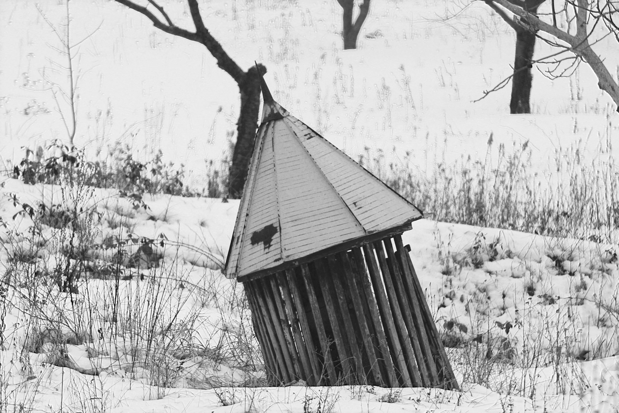 Canon EF 75-300mm f/4-5.6 USM sample photo. Something old... photography