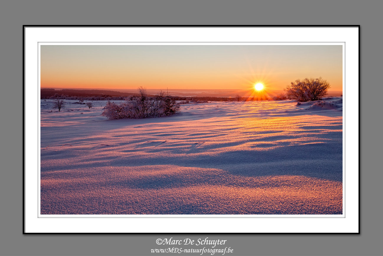 Canon TS-E 90mm F2.8 Tilt-Shift sample photo. Sunrise at botrange photography