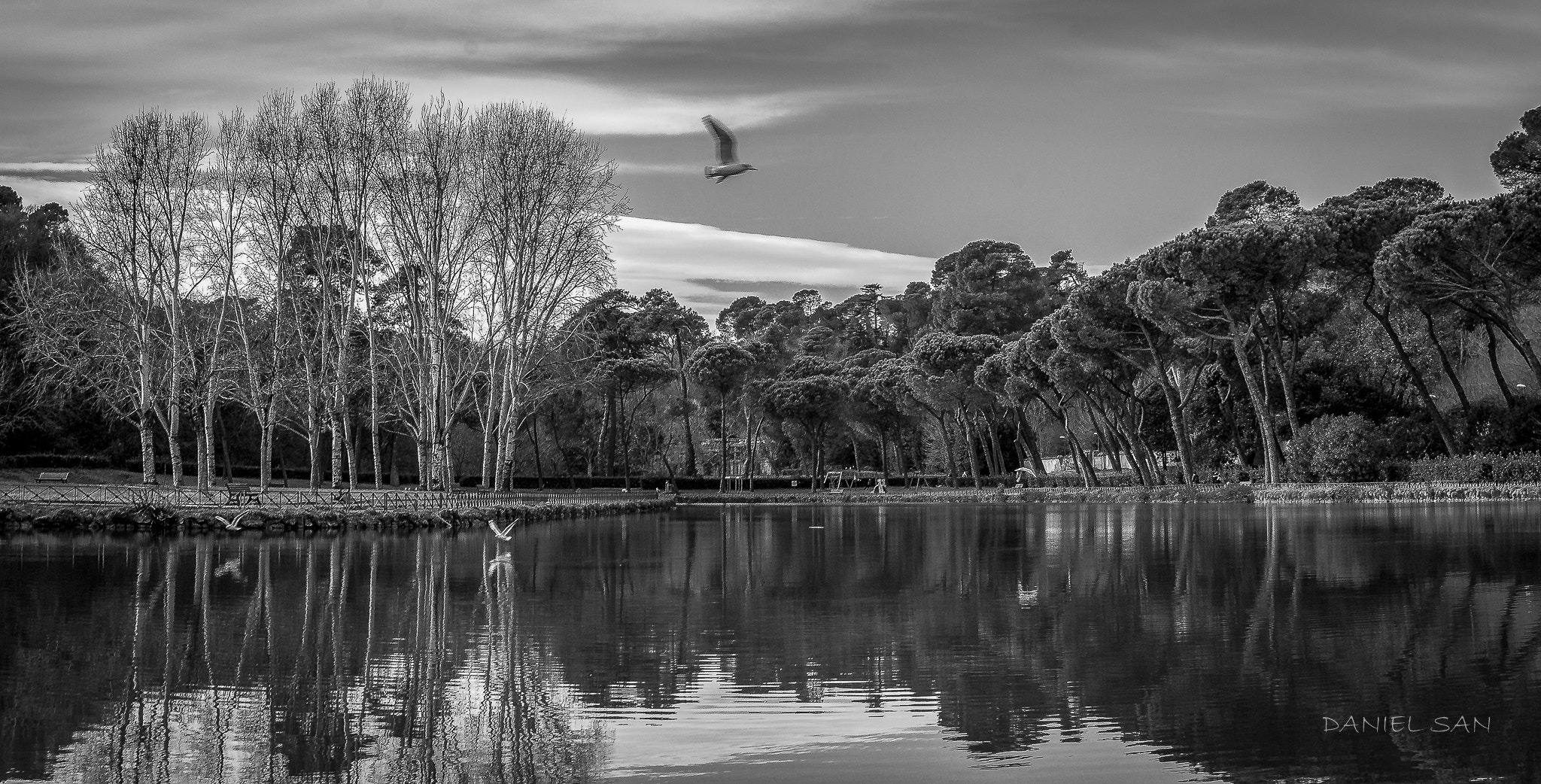 Nikon D200 sample photo. Early winter morning in rome,italy. photography