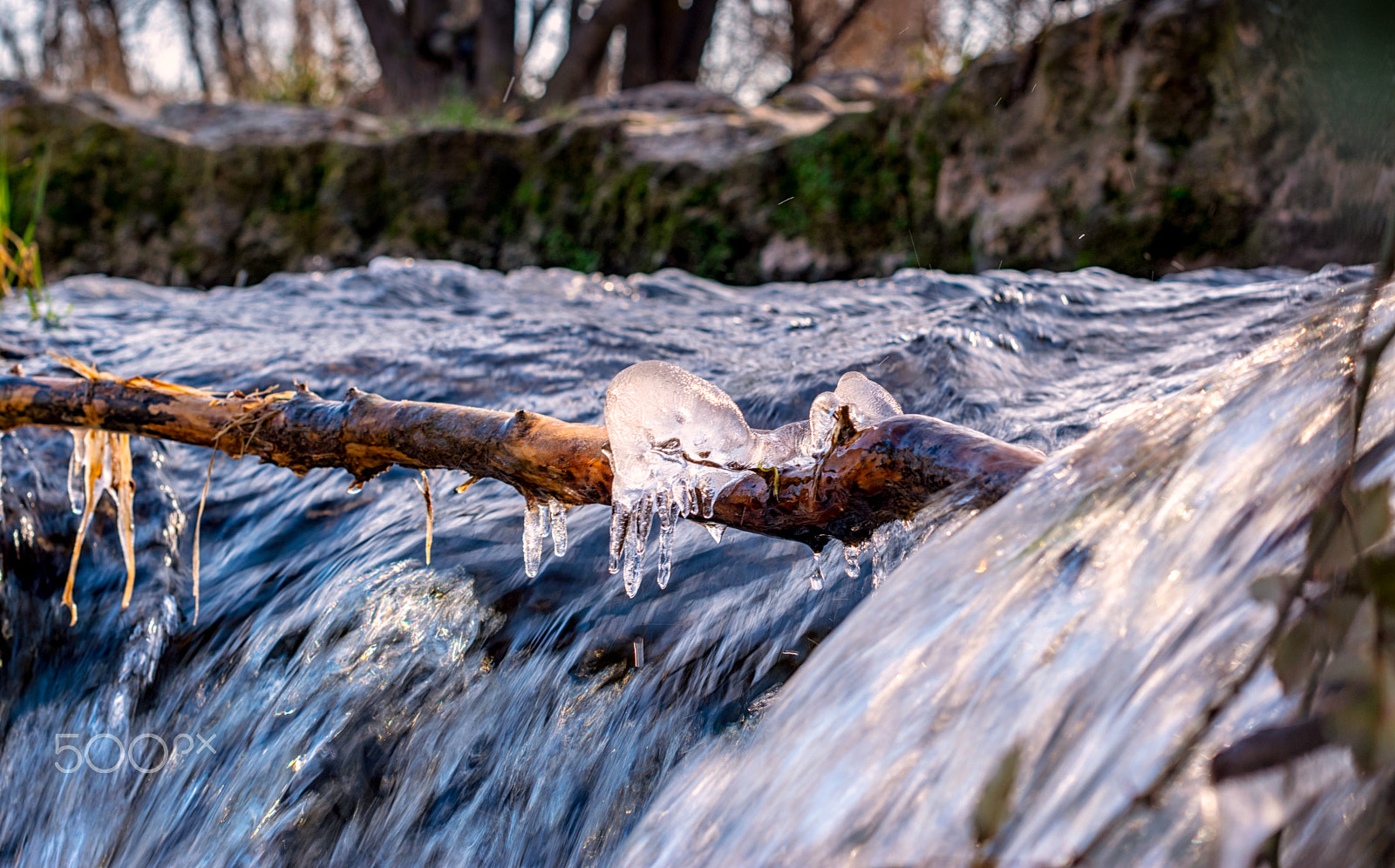 Nikon D5300 + Nikon AF-S Nikkor 50mm F1.4G sample photo. Frost photography