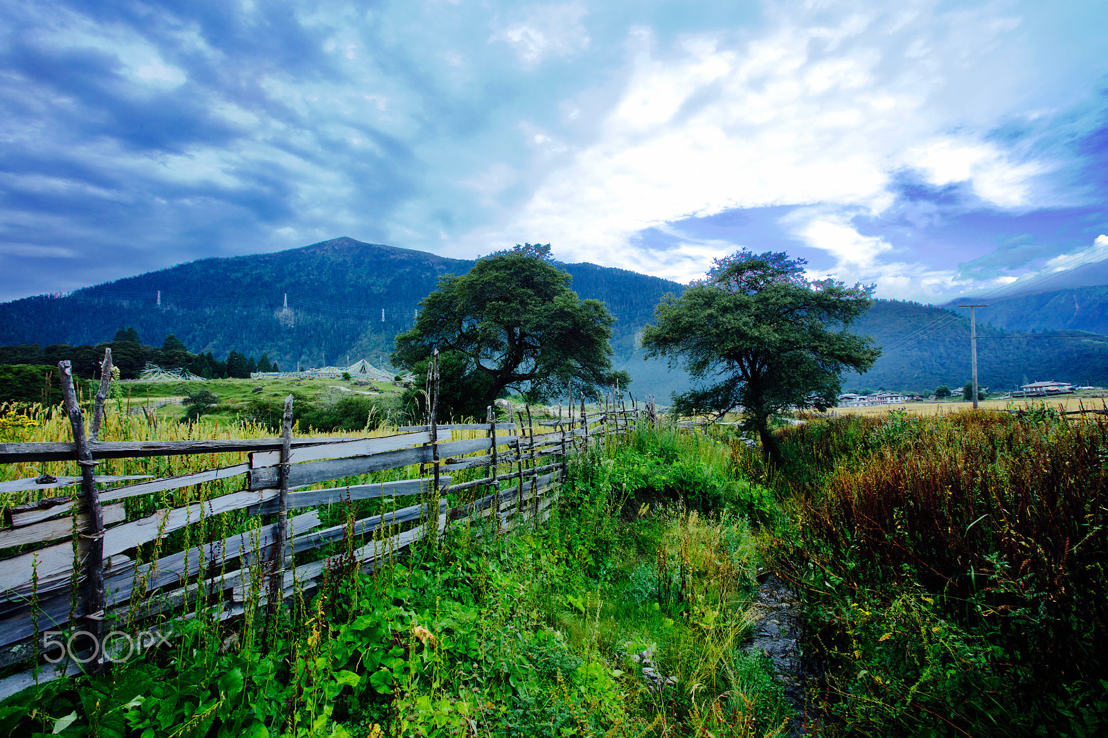 Canon EOS 5DS R + Canon EF 17-40mm F4L USM sample photo. 魯朗 photography