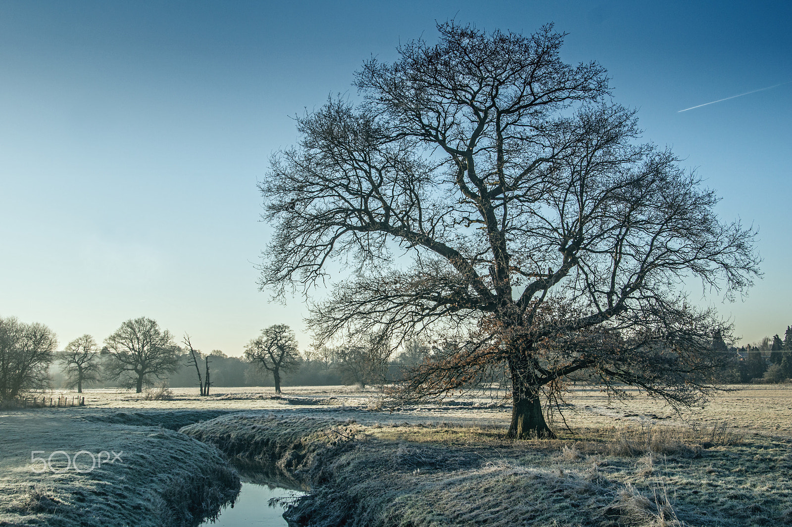 Sony SLT-A77 sample photo. Frozen farmland. photography