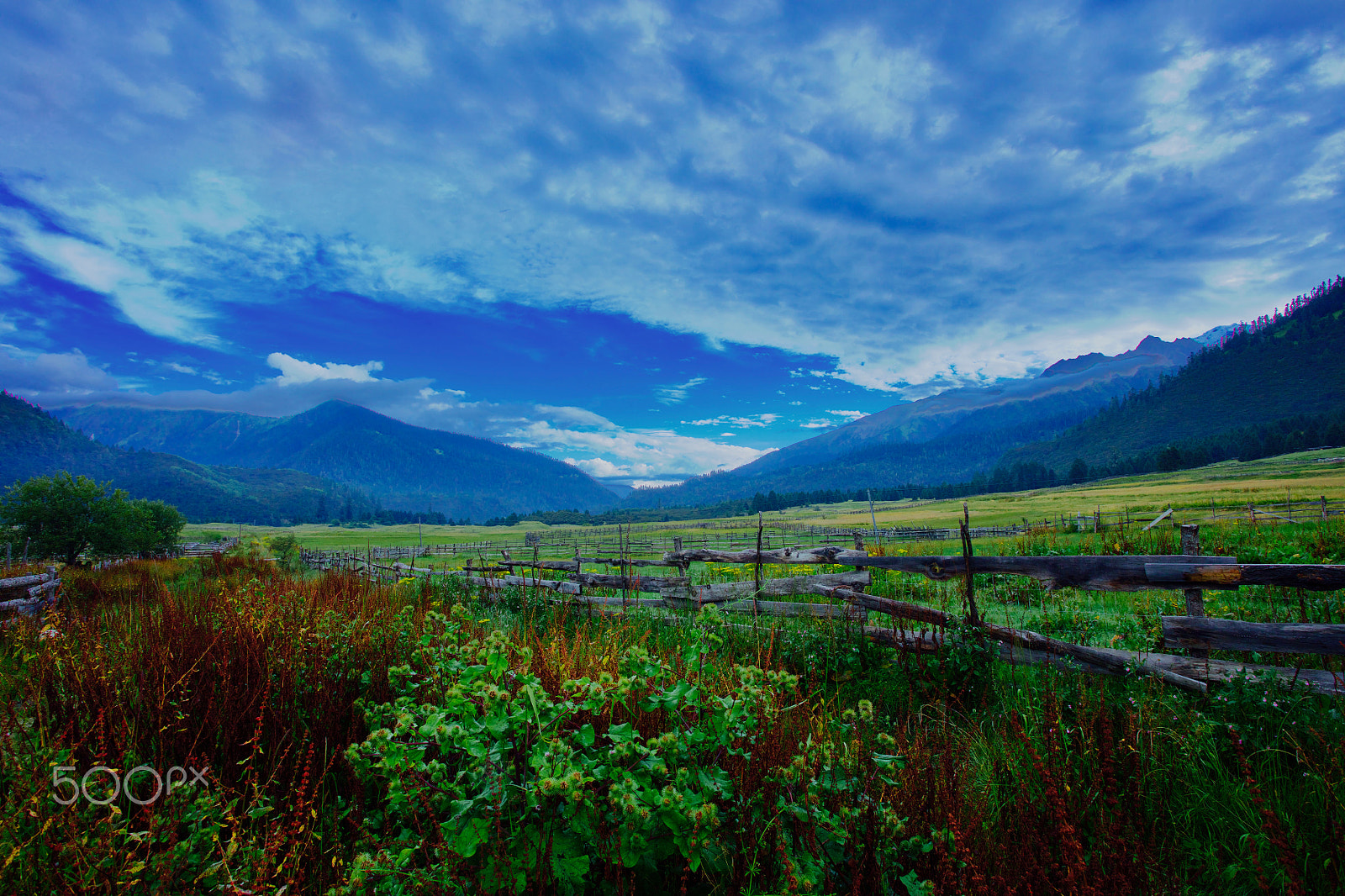 Canon EOS 5DS R + Canon EF 17-40mm F4L USM sample photo. 魯朗 photography