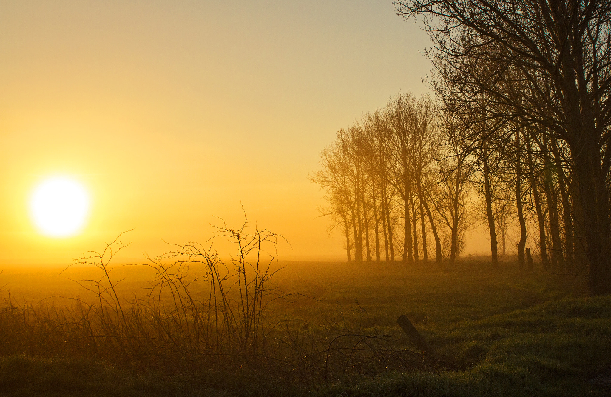 Canon EOS 7D sample photo. I see trees of green.... photography