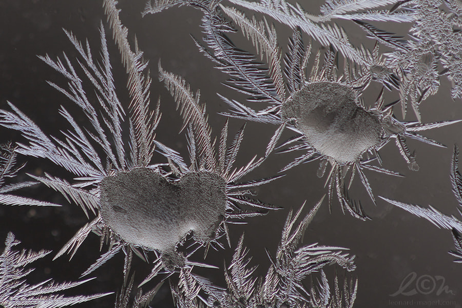 Canon EF 100mm F2.8 Macro USM sample photo. Frozen droplets photography