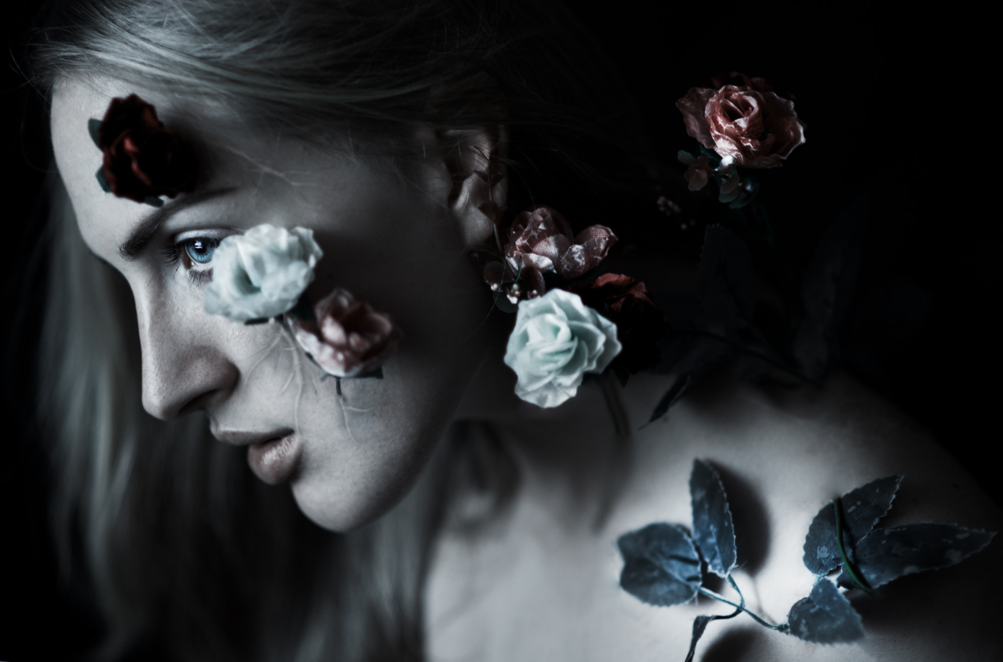 Nikon D800 + Sigma 85mm F1.4 EX DG HSM sample photo. Rosa photography