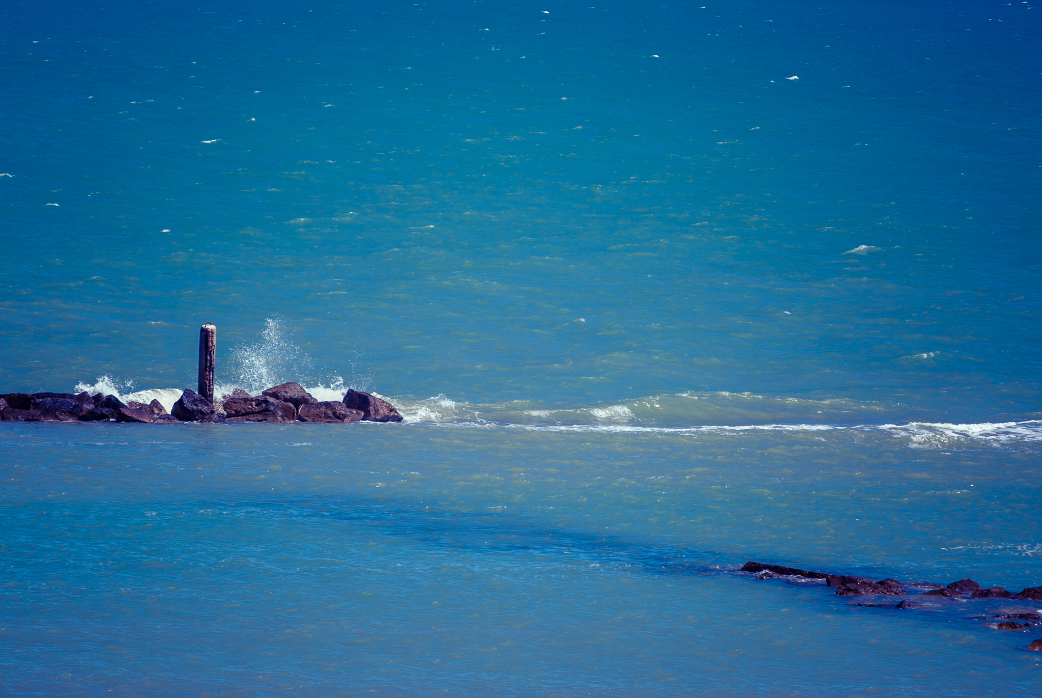 Nikon D40X sample photo. Waving photography