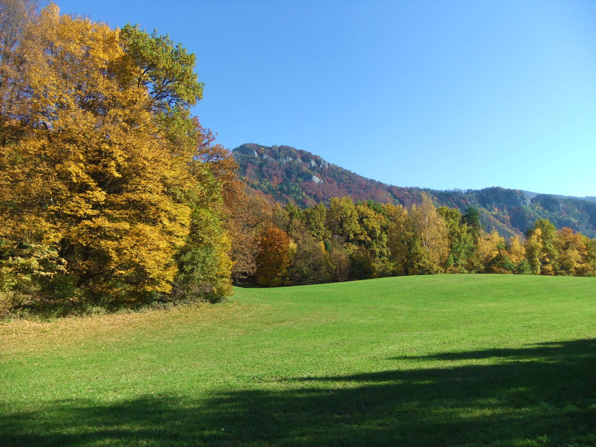 FujiFilm FinePix F70EXR (FinePix F75EXR) sample photo. Styrian autum photography