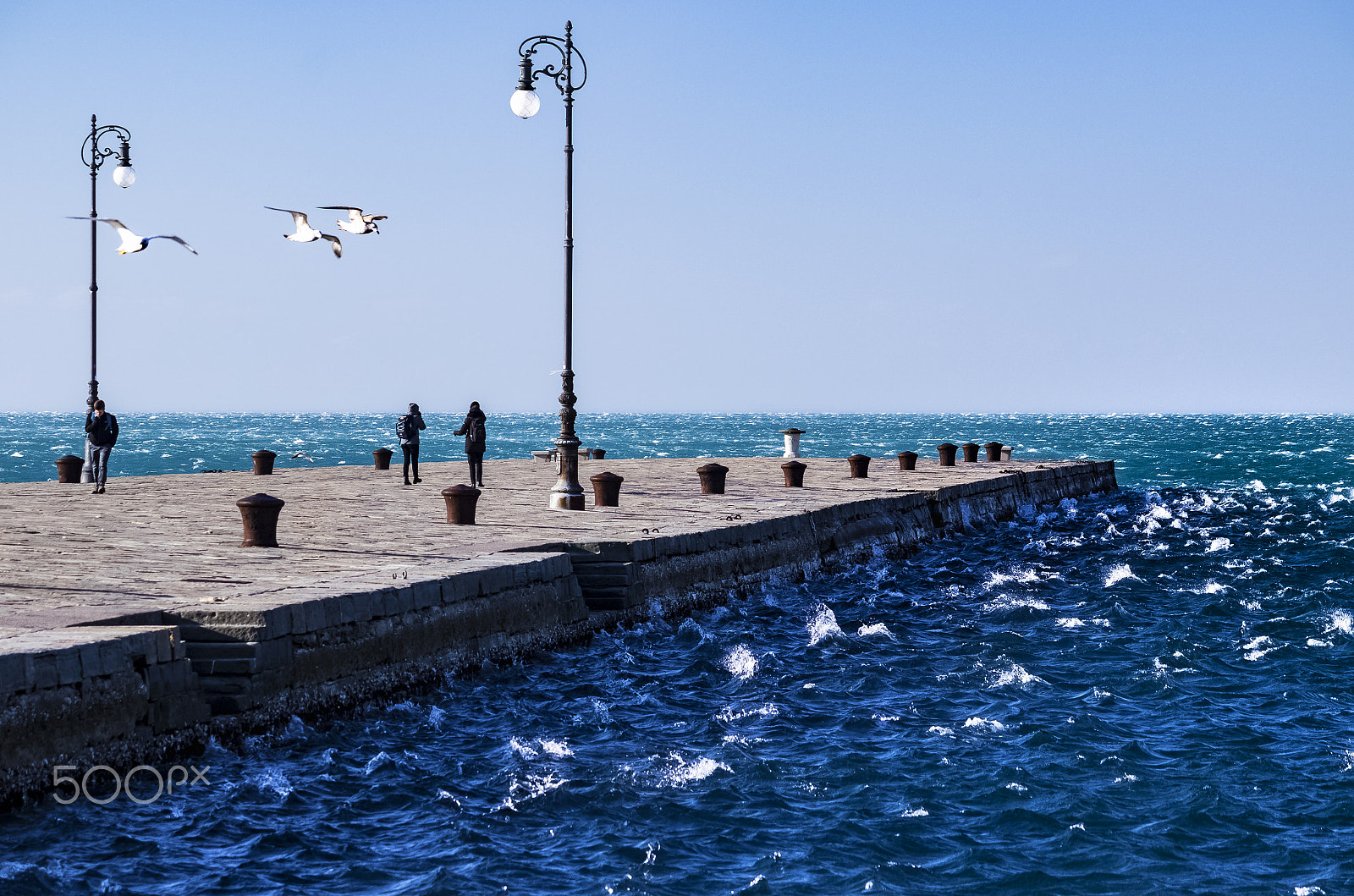 Canon EF-S 55-250mm F4-5.6 IS II sample photo. Bora in trieste photography