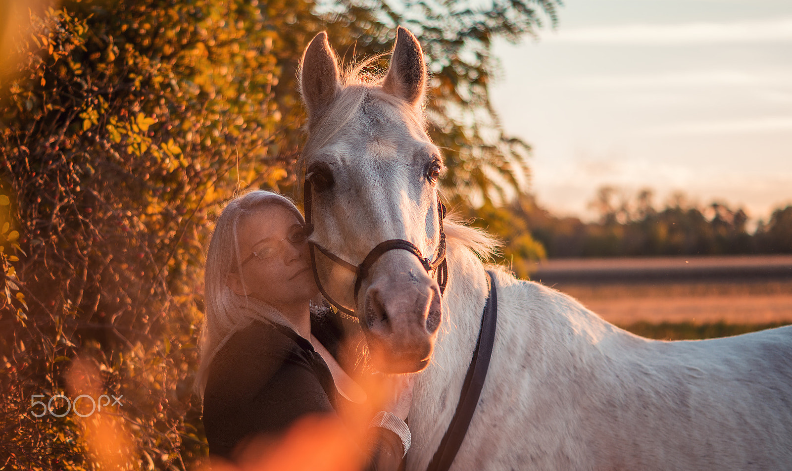 Sony ILCA-77M2 + Sony DT 50mm F1.8 SAM sample photo. Never letting go photography