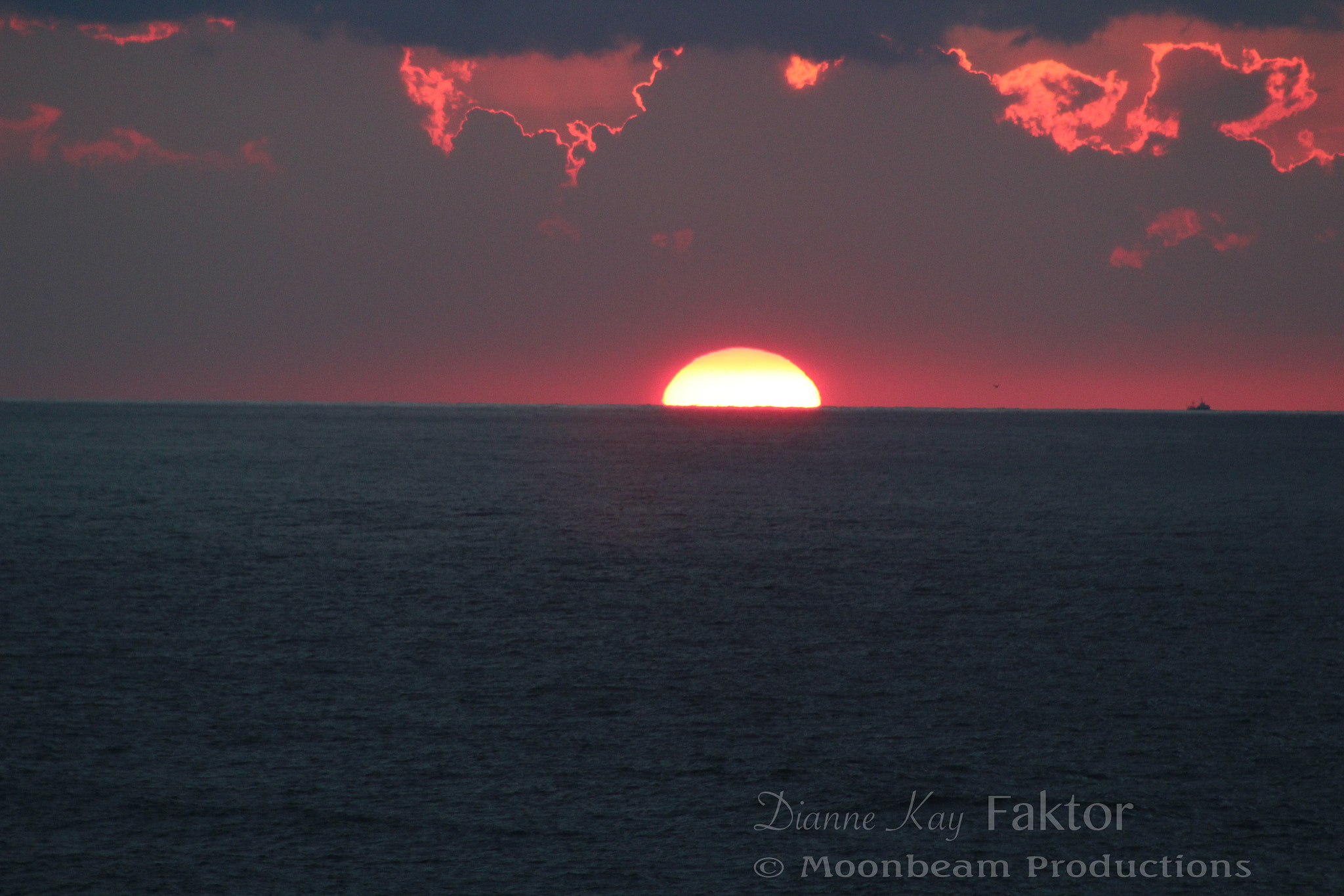 Canon EF 75-300mm f/4-5.6 USM sample photo. Img photography