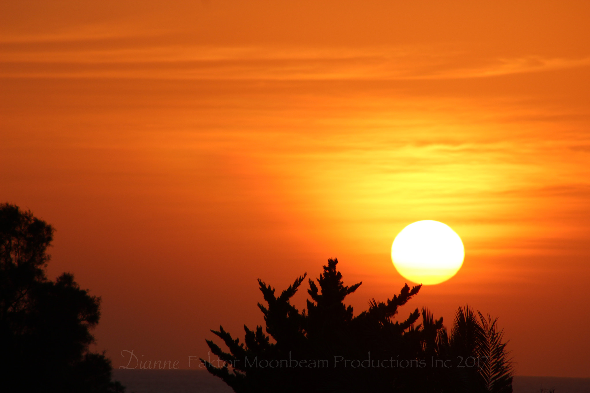 Canon EF 75-300mm f/4-5.6 USM sample photo. Img photography