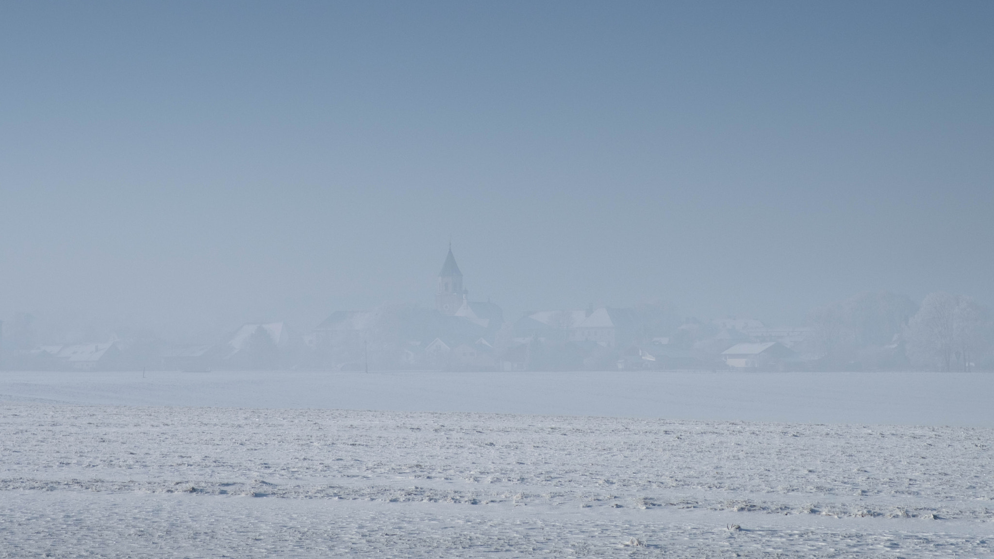 Fujifilm X-Pro2 + Fujifilm XF 16-55mm F2.8 R LM WR sample photo. Polling im winter photography