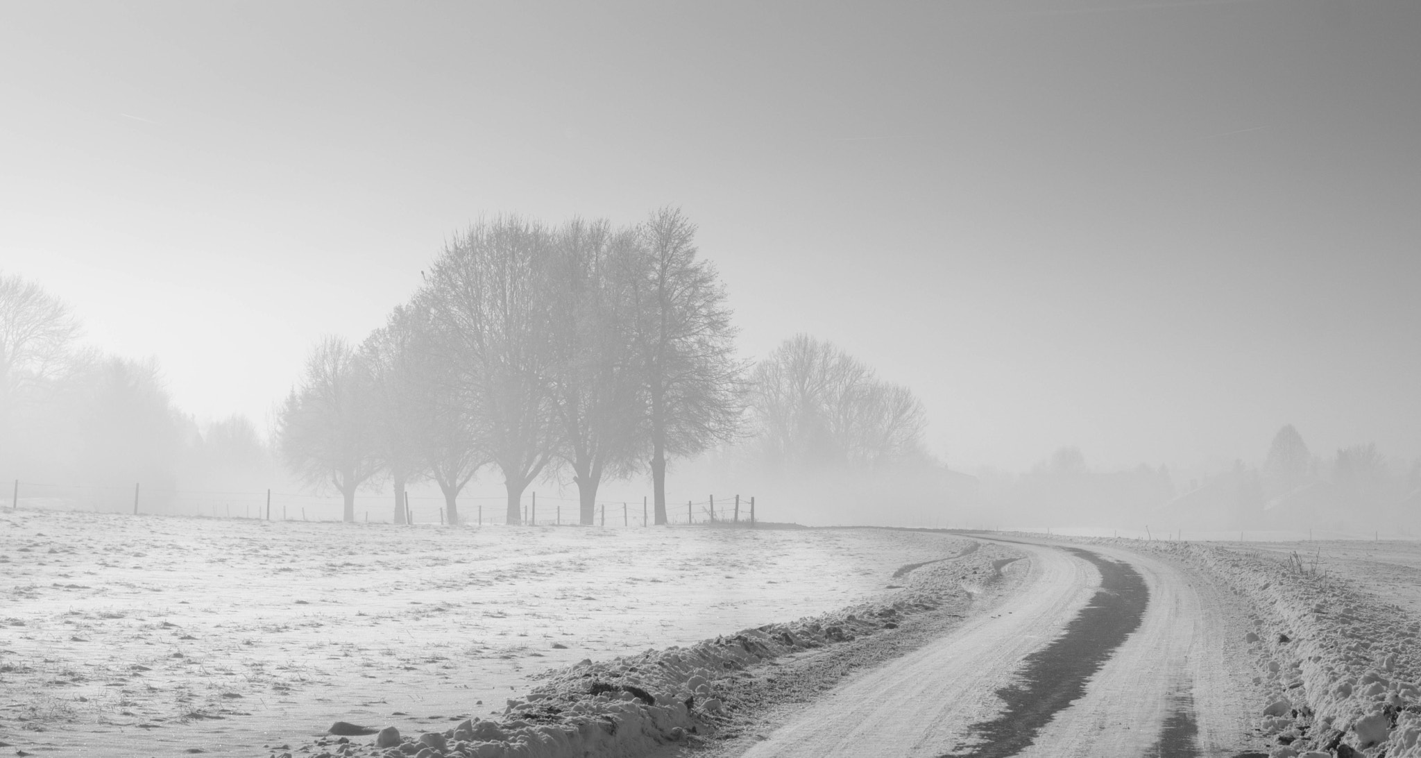 Fujifilm X-Pro2 + Fujifilm XF 16-55mm F2.8 R LM WR sample photo. Polling im winter photography