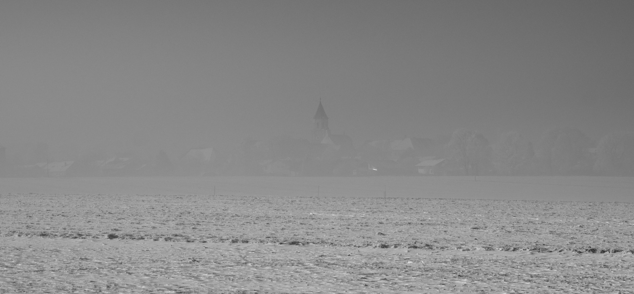 Fujifilm X-Pro2 + Fujifilm XF 16-55mm F2.8 R LM WR sample photo. Polling im winter photography