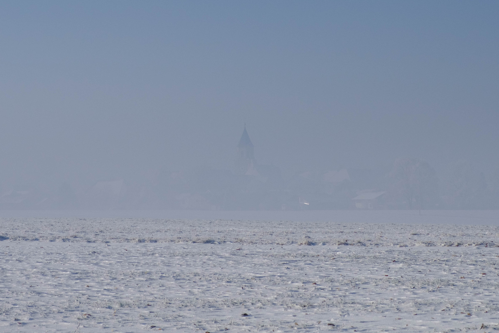 Fujifilm X-Pro2 + Fujifilm XF 16-55mm F2.8 R LM WR sample photo. Polling im winter photography