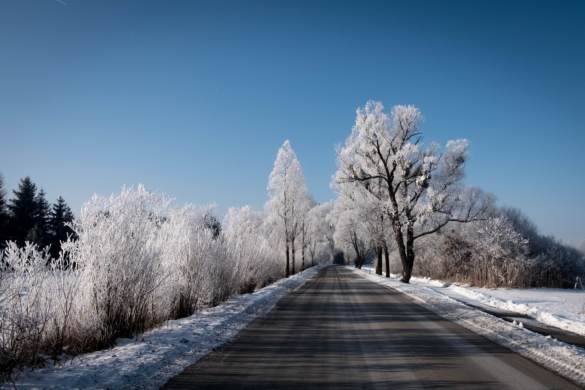 Fujifilm X-Pro2 + Fujifilm XF 16-55mm F2.8 R LM WR sample photo. Polling im winter photography