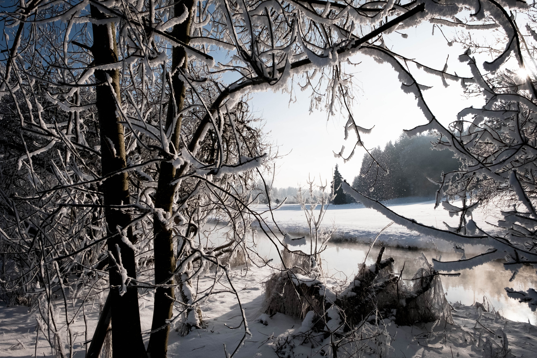 Fujifilm X-Pro2 + Fujifilm XF 16-55mm F2.8 R LM WR sample photo. Polling im winter photography