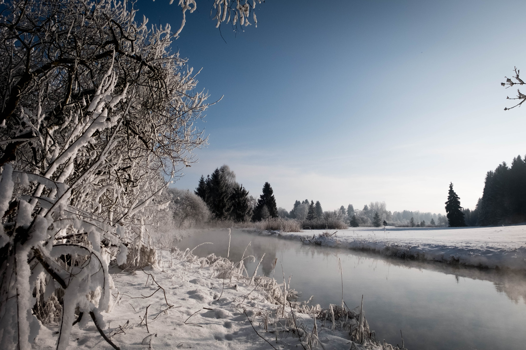 Fujifilm X-Pro2 + Fujifilm XF 16-55mm F2.8 R LM WR sample photo. Polling im winter photography