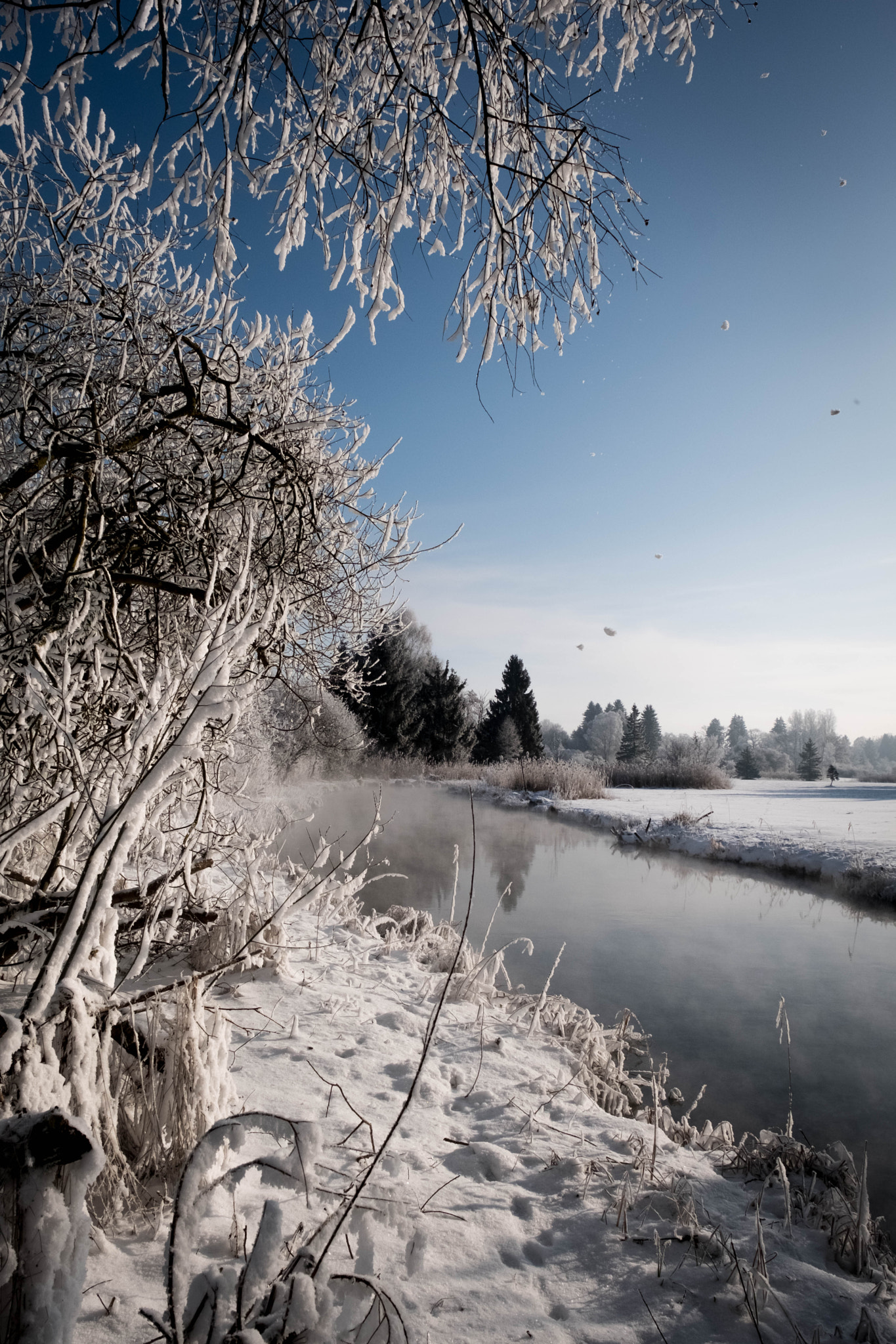 Fujifilm X-Pro2 + Fujifilm XF 16-55mm F2.8 R LM WR sample photo. Polling im winter photography