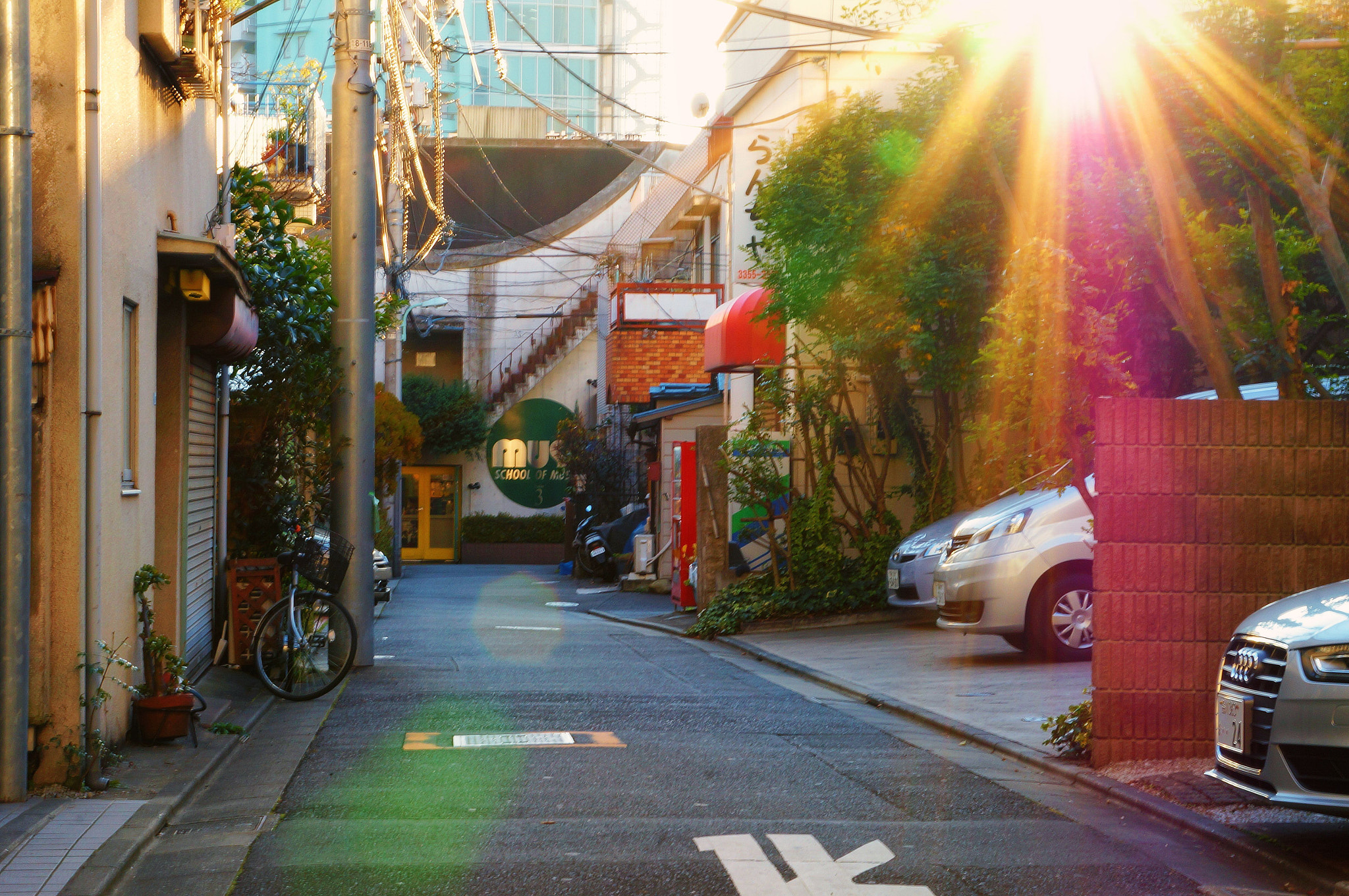 Sony Alpha NEX-5T + Sony E 55-210mm F4.5-6.3 OSS sample photo. Tokyo afternoon chill photography