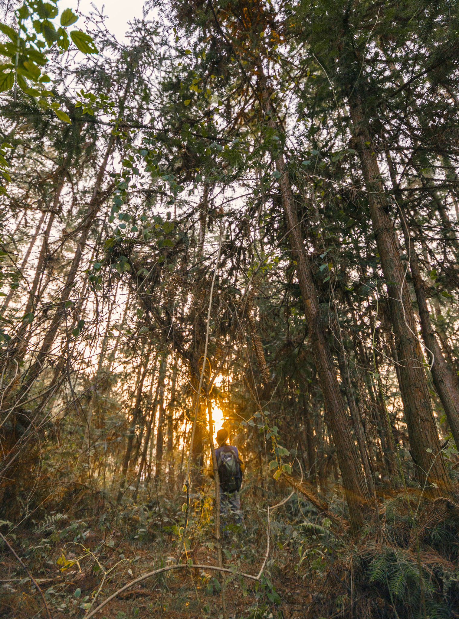 Canon EOS 6D + Sigma 10-20mm F4-5.6 EX DC HSM sample photo