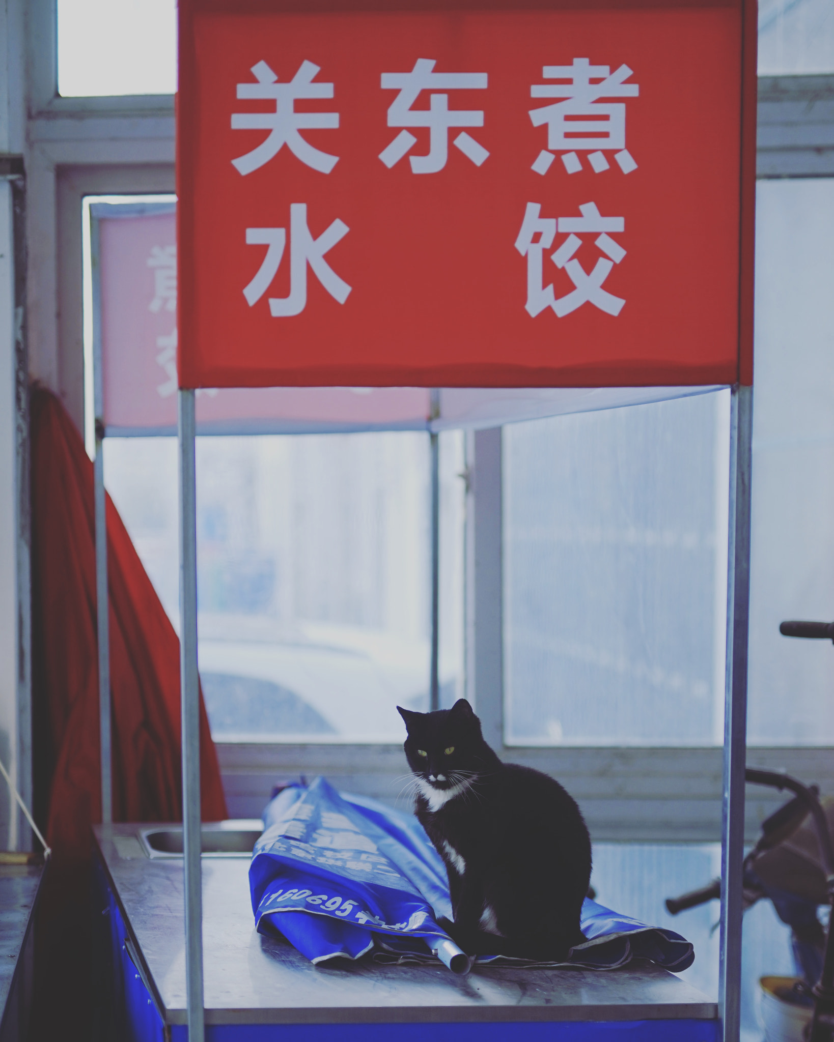 Sigma 50mm F1.4 EX DG HSM sample photo