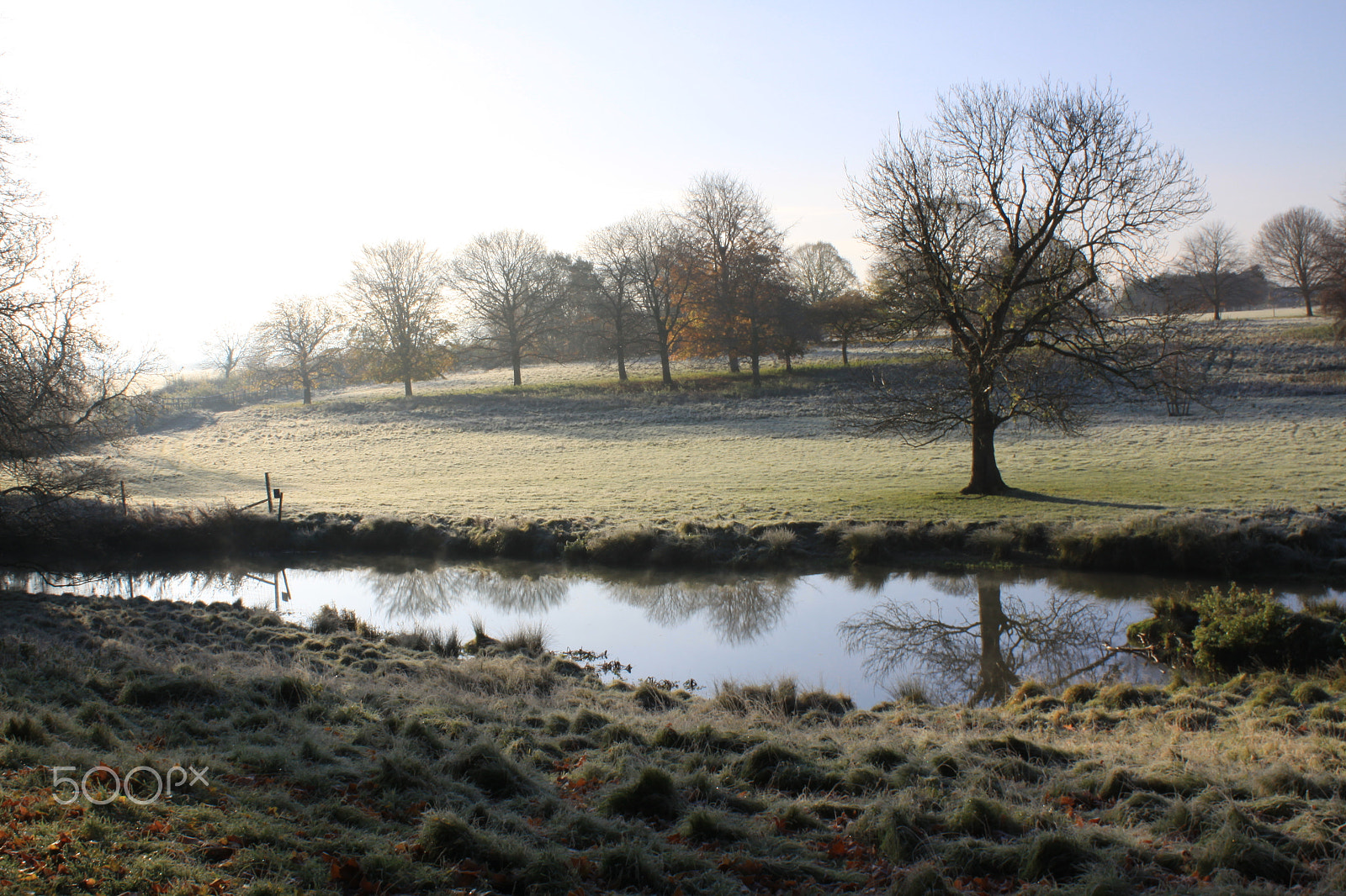 Canon EF-S 18-55mm F3.5-5.6 IS sample photo. Charlecote park photography