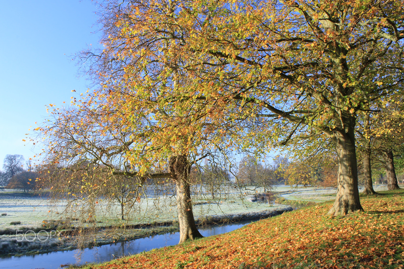 Canon EF-S 18-55mm F3.5-5.6 IS sample photo. Charlecote park photography