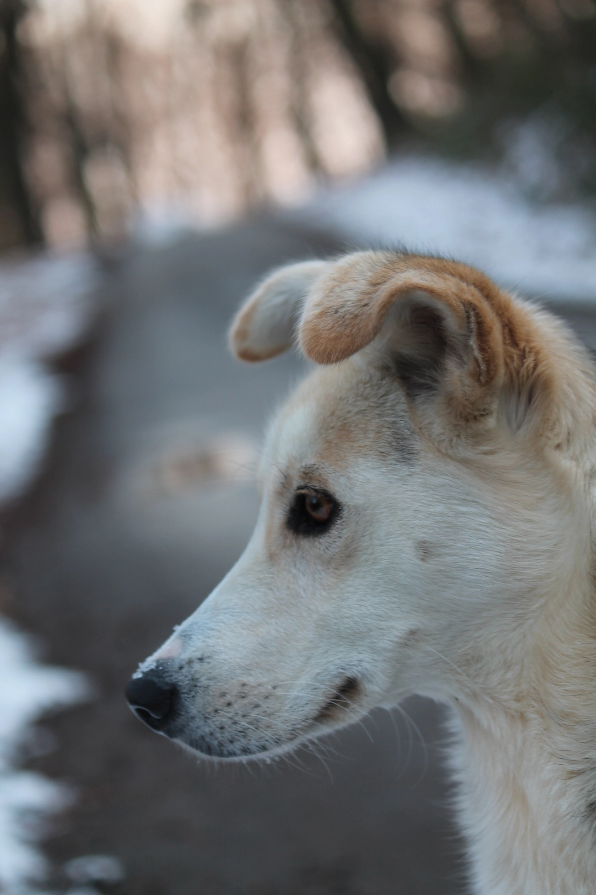 Canon EF-S 55-250mm F4-5.6 IS sample photo. Img photography
