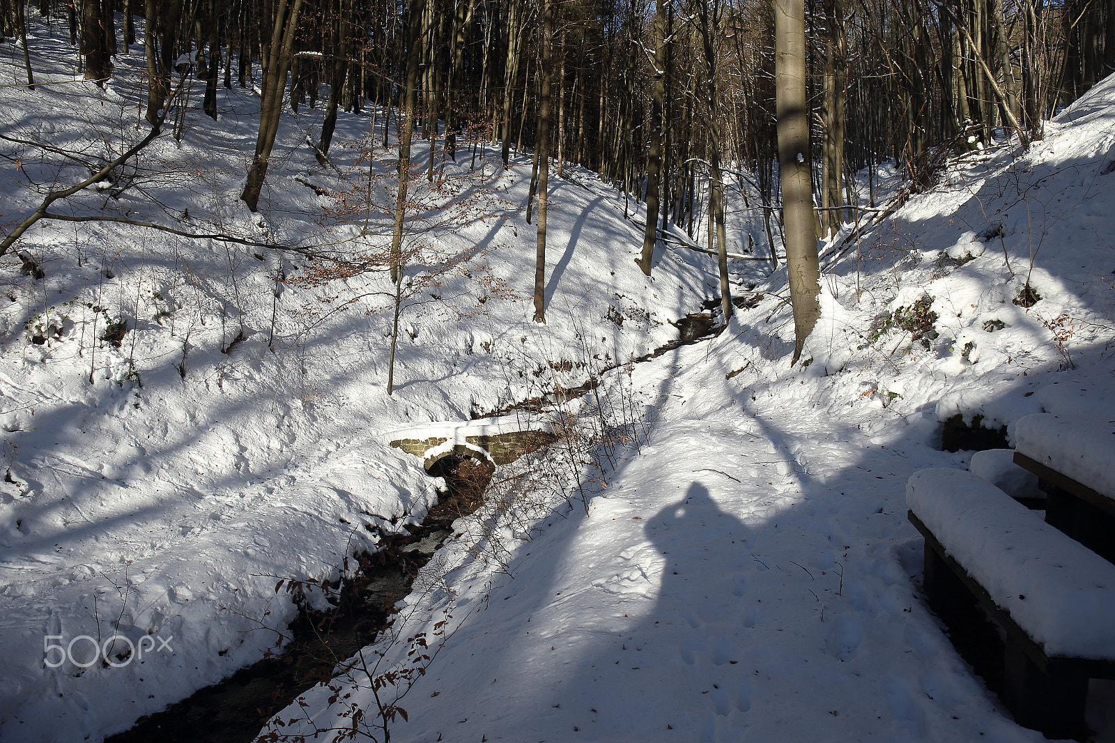 Canon EF 24-70mm F4L IS USM sample photo. Teufelsgraben im winter photography