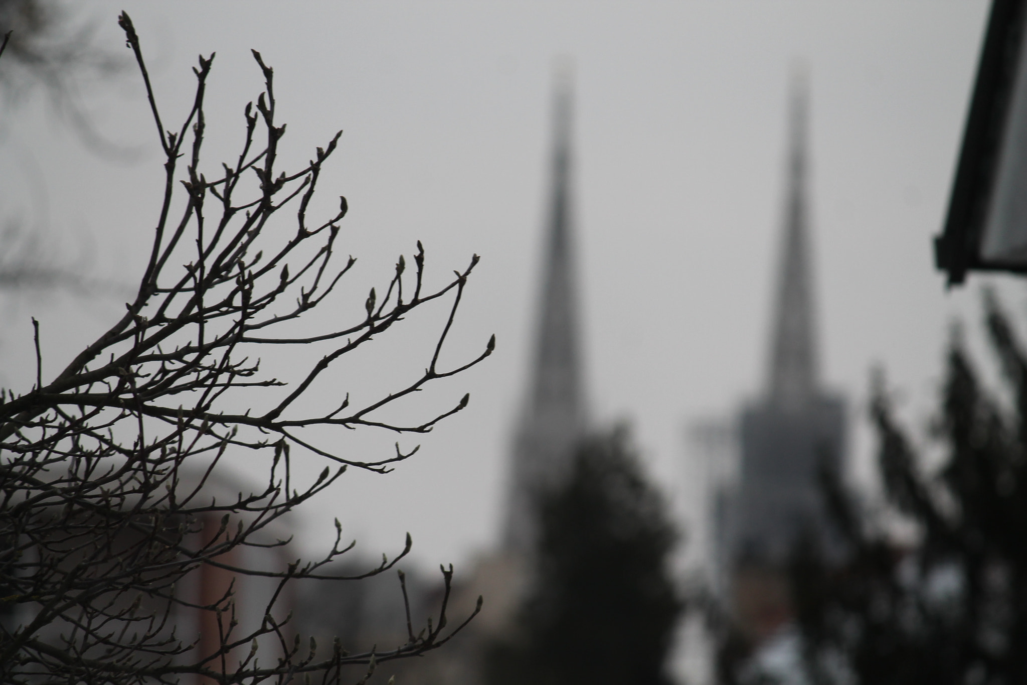 Canon EF-S 55-250mm F4-5.6 IS sample photo. Img photography