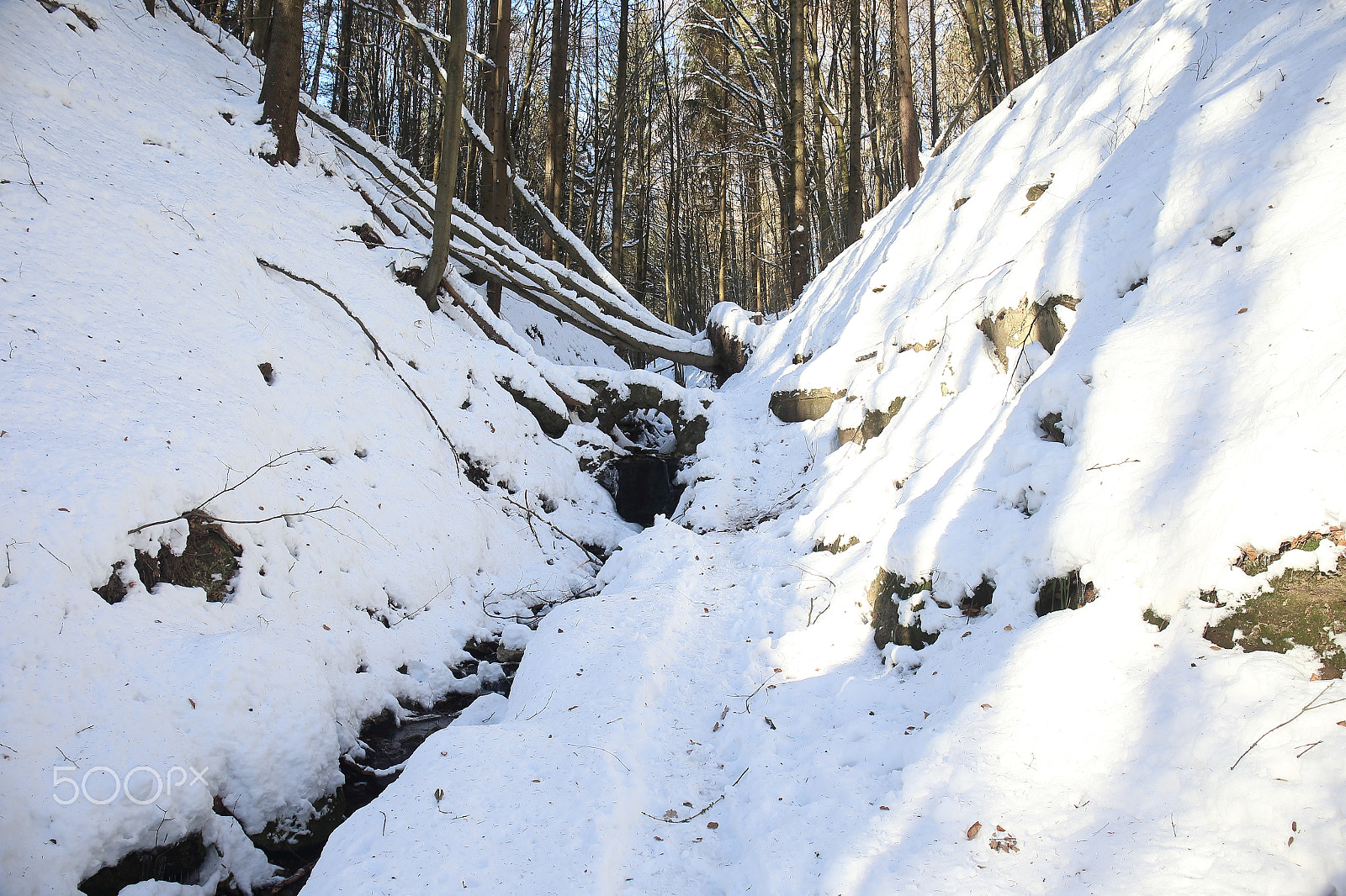 Canon EF 24-70mm F4L IS USM sample photo. Teufelsgraben im winter photography