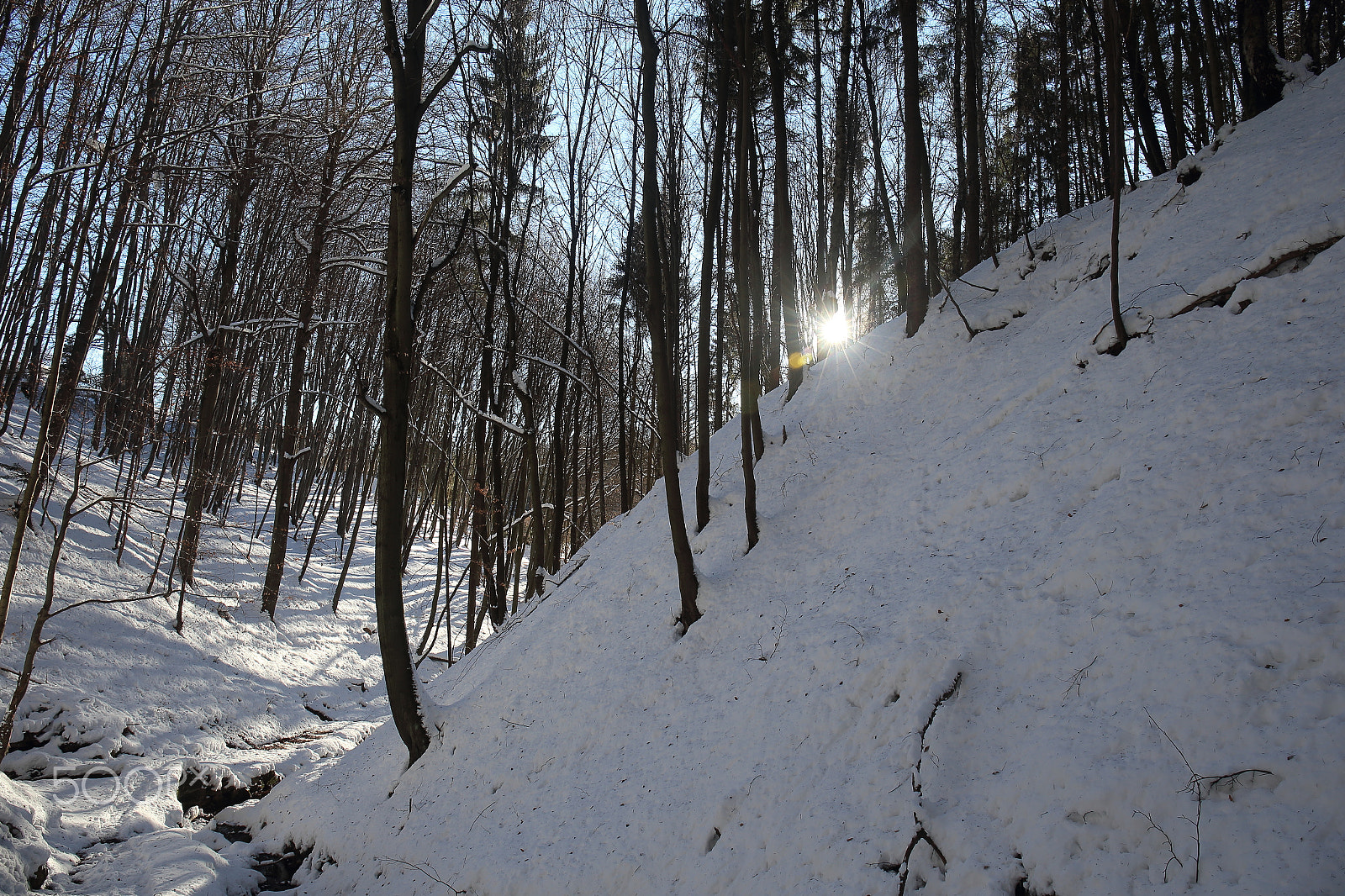 Canon EF 24-70mm F4L IS USM sample photo. Teufelsgraben im winter photography