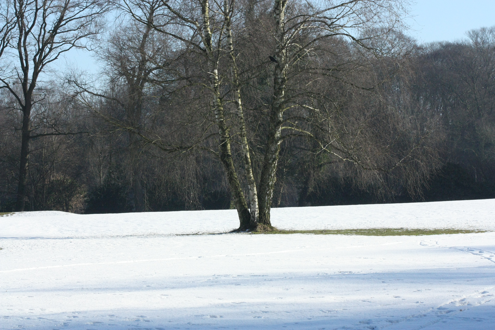 Canon EF 80-200mm F4.5-5.6 II sample photo. Img photography