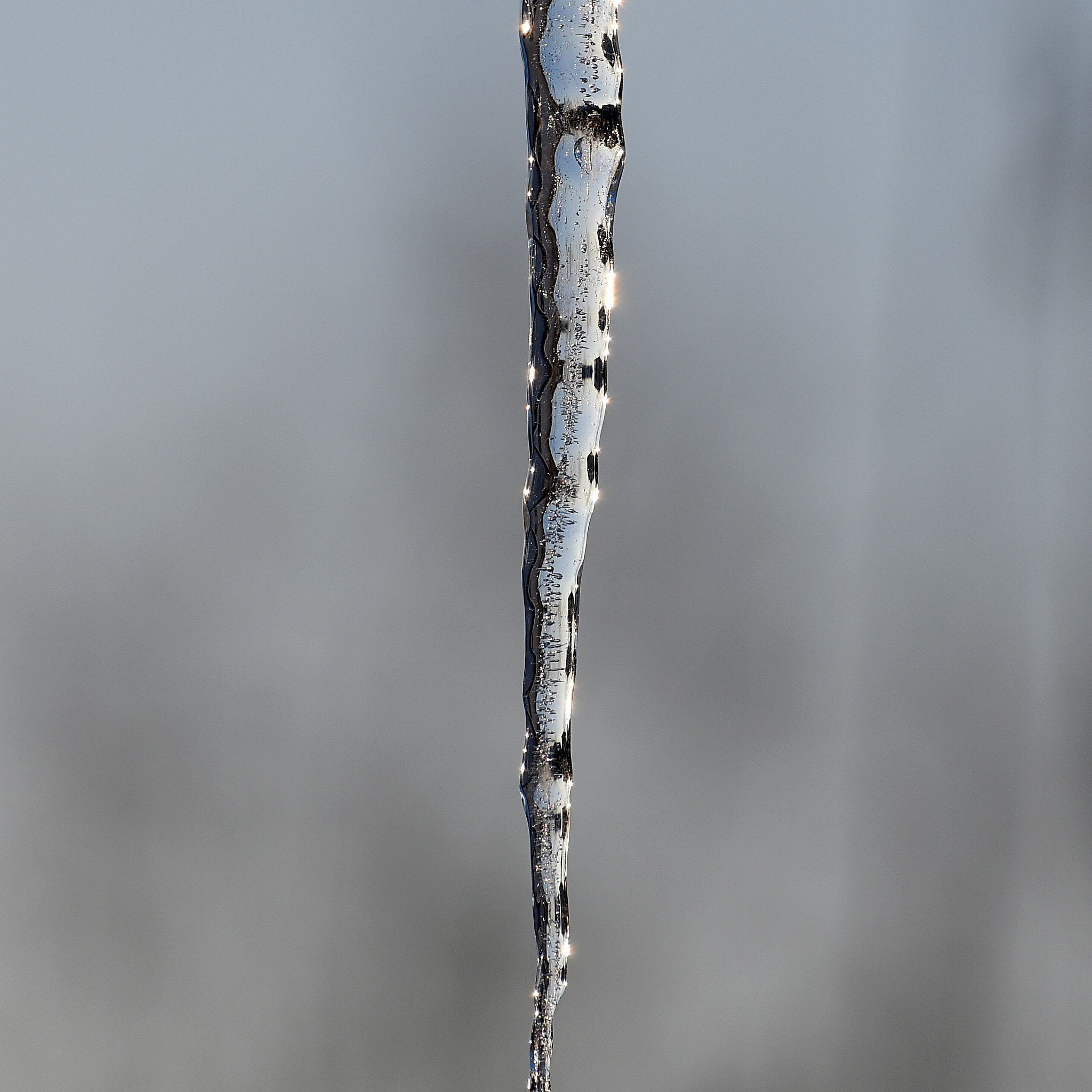 Nikon D500 sample photo. Cold but beautiful photography