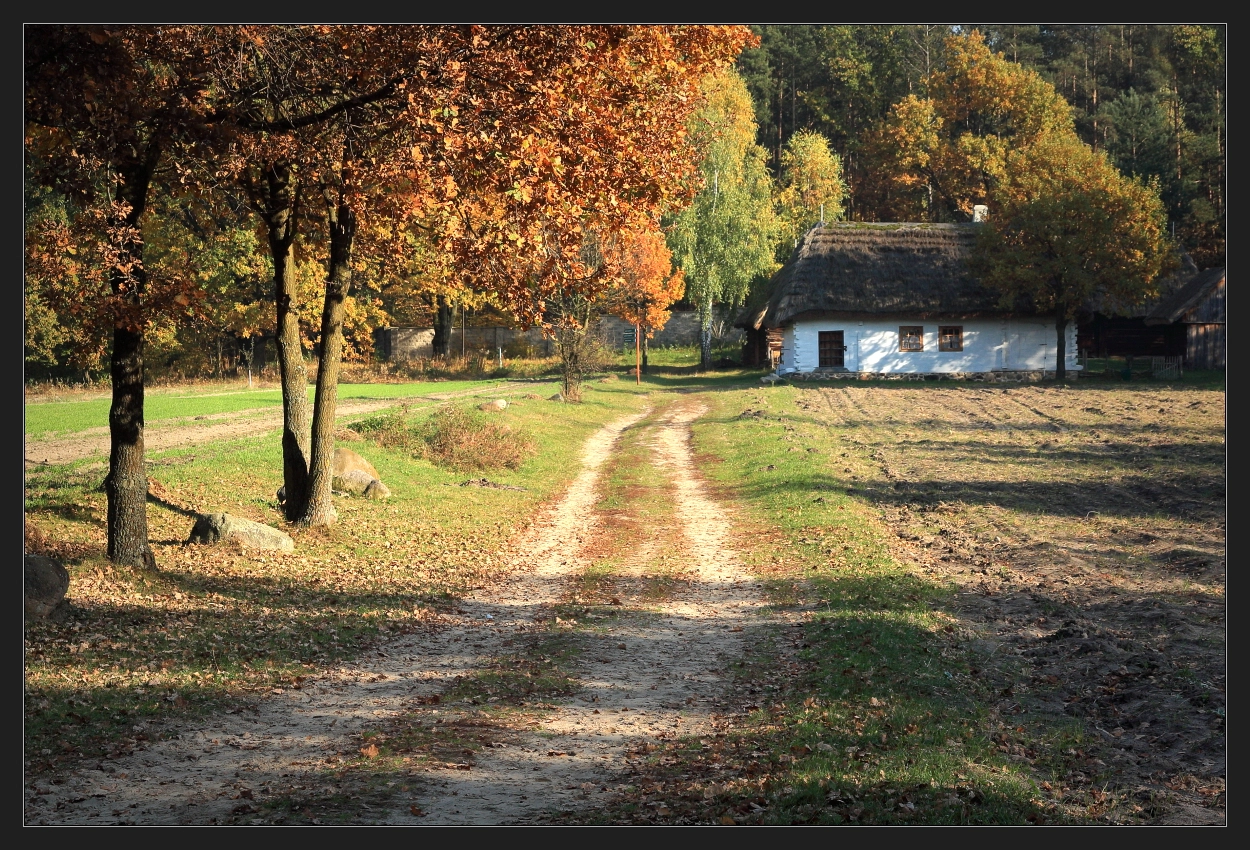 Canon EOS 450D (EOS Rebel XSi / EOS Kiss X2) sample photo. Rural landscape photography