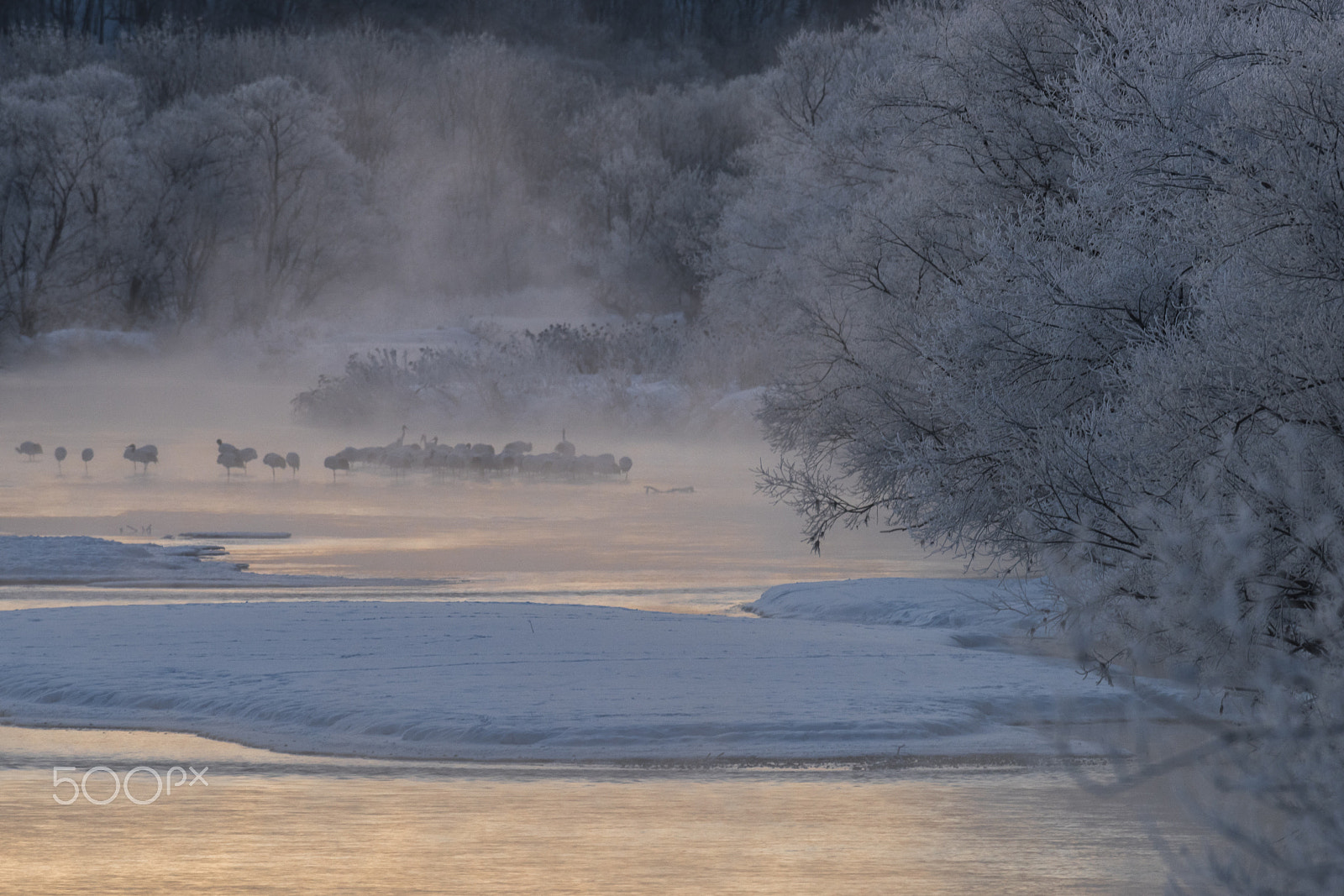 Nikon D810 + Nikon AF-S Nikkor 500mm F4G ED VR sample photo. Entrance to heaven photography