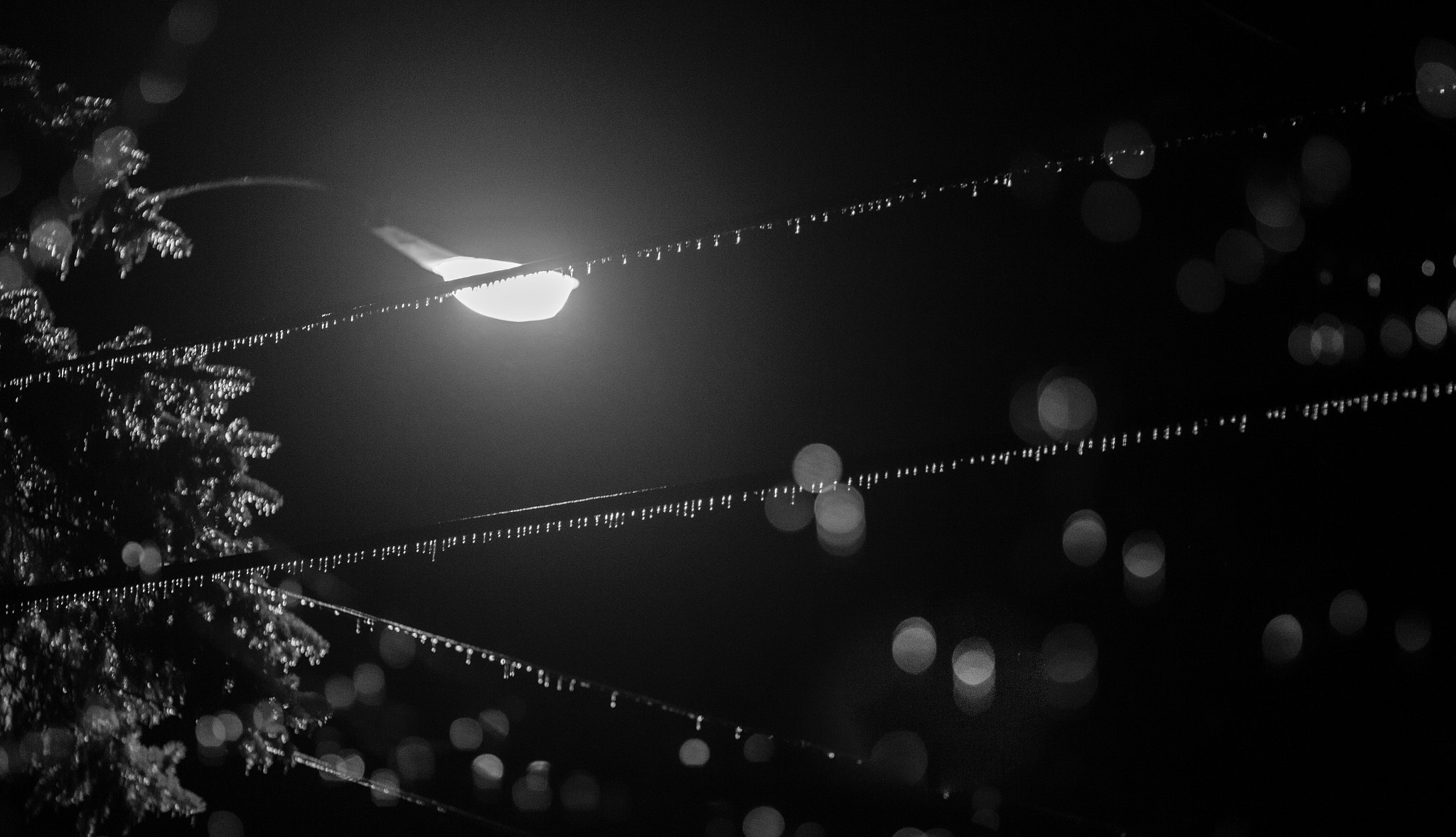Canon EF 85mm F1.8 USM sample photo. Frozen wires under the streetlight photography
