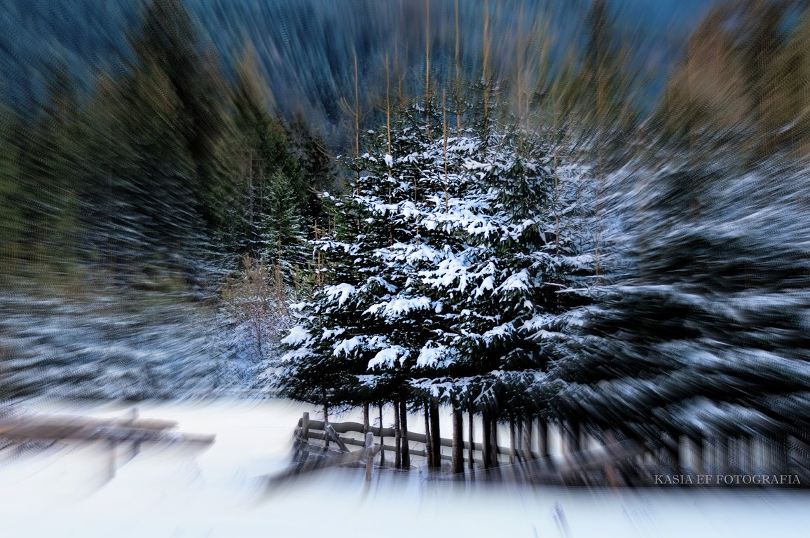 Nikon D300 sample photo. ... photography