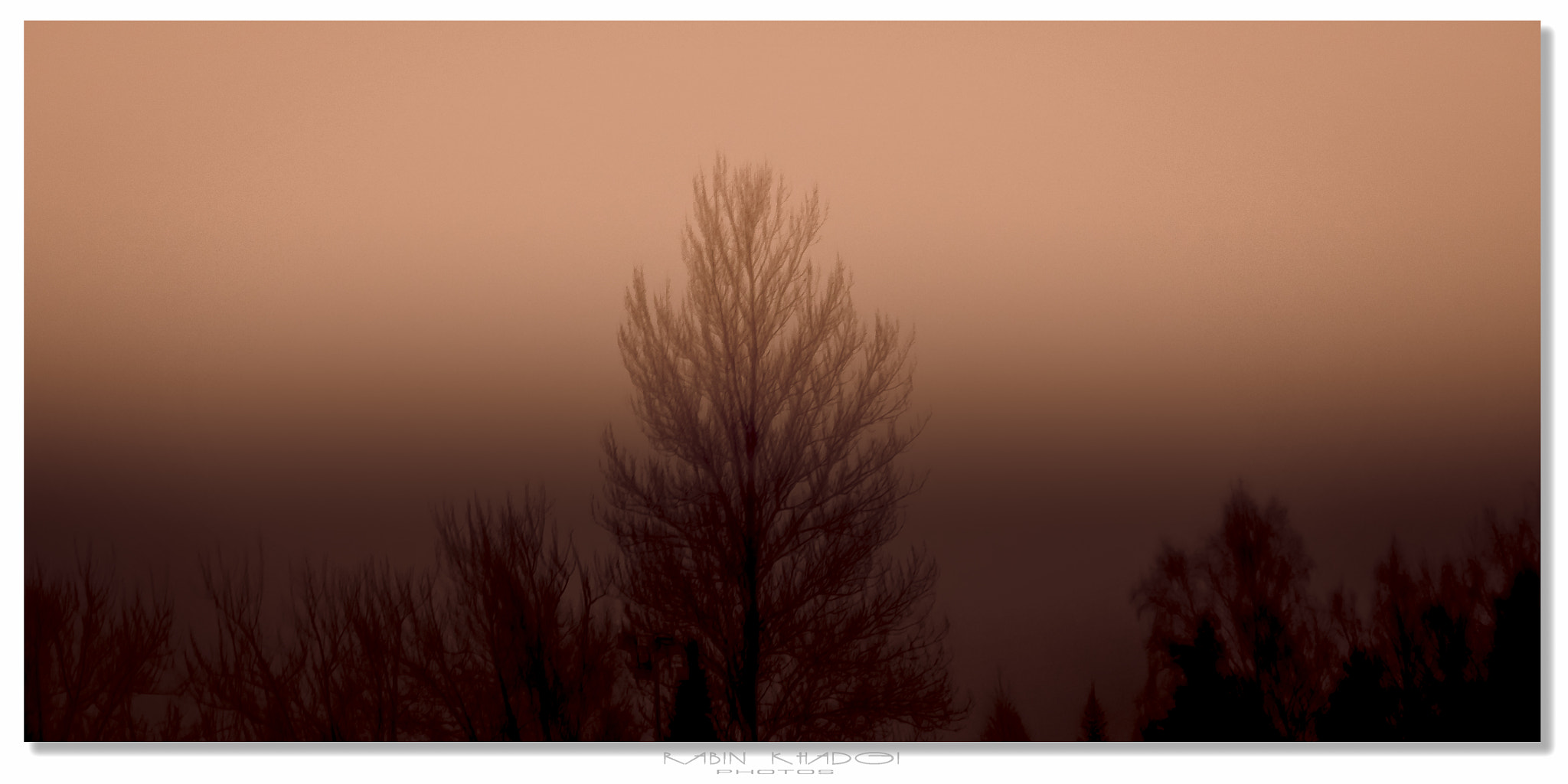 LUMIX G VARIO 12-60/F3.5-5.6 sample photo. Foggy winter photography