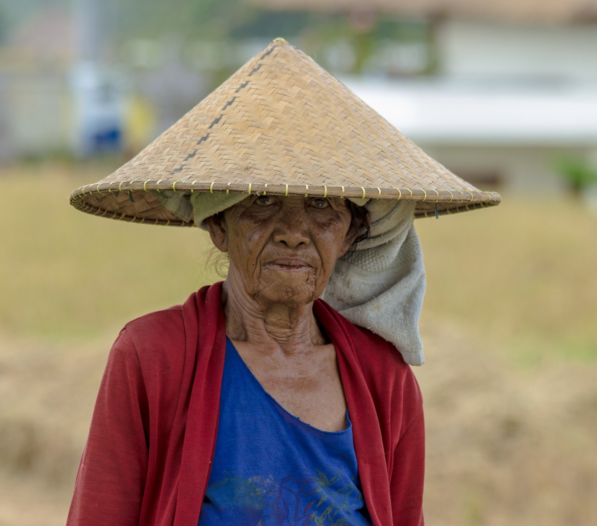 Canon EF 70-300mm F4-5.6 IS USM sample photo. Stealy face. photography