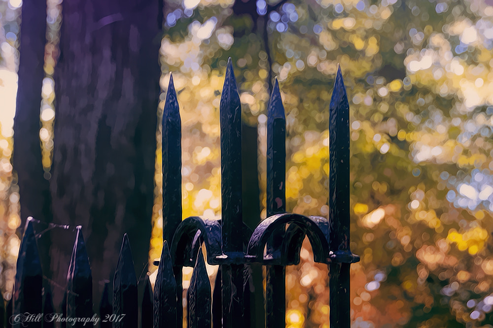 Sigma 18-250mm F3.5-6.3 DC OS HSM sample photo. Gate photography
