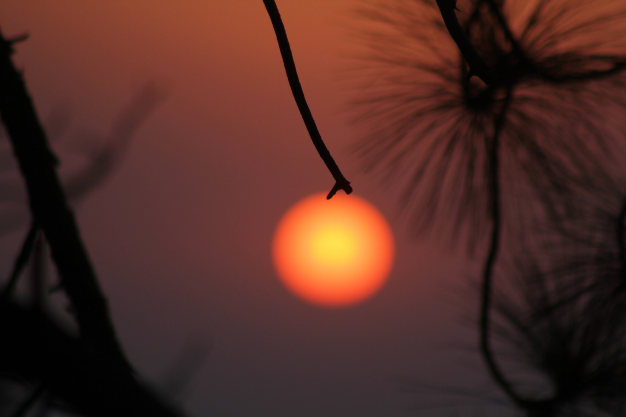 Canon EF 75-300mm f/4-5.6 USM sample photo