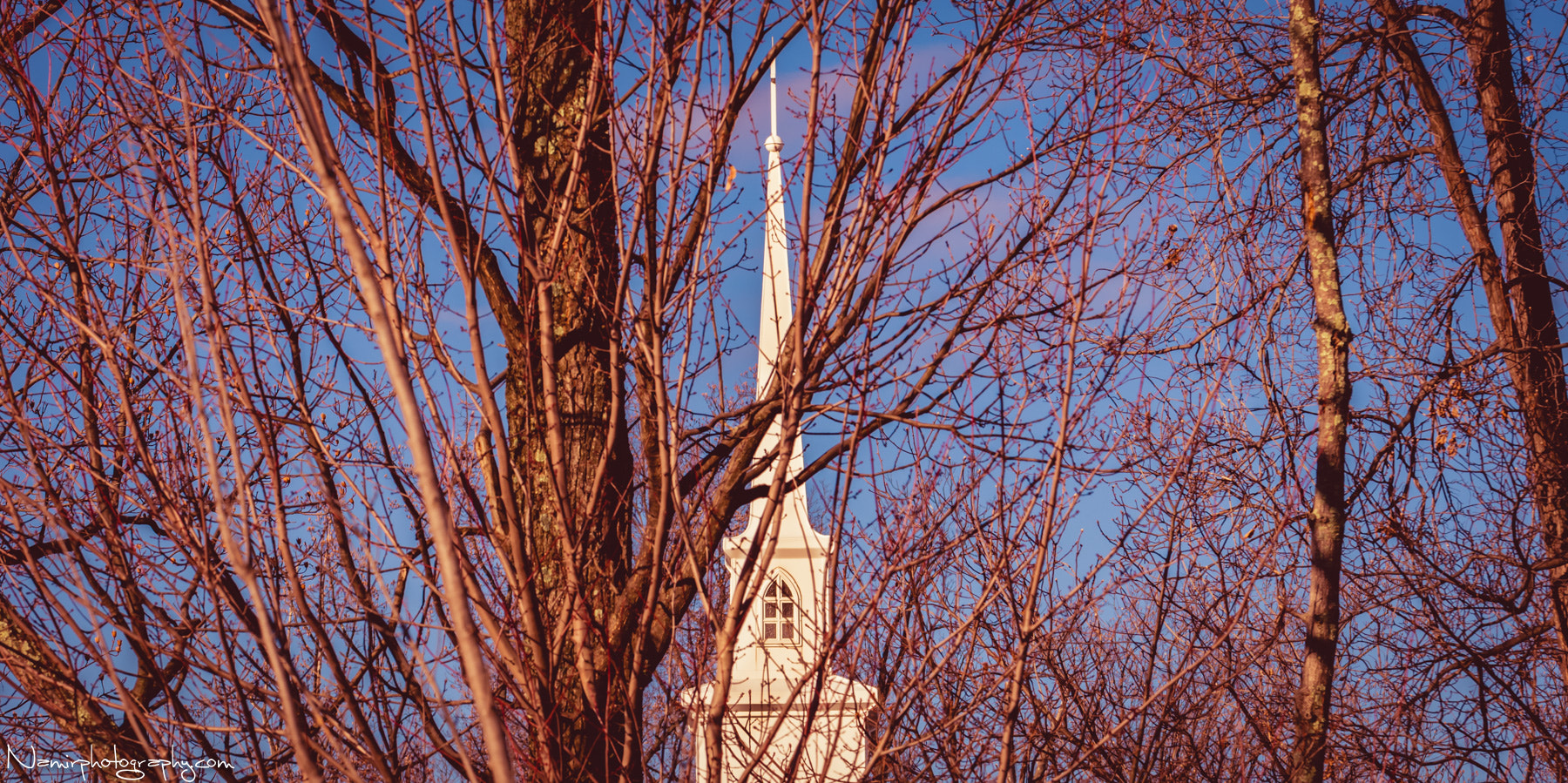 Nikon D500 sample photo. Church in the woods photography