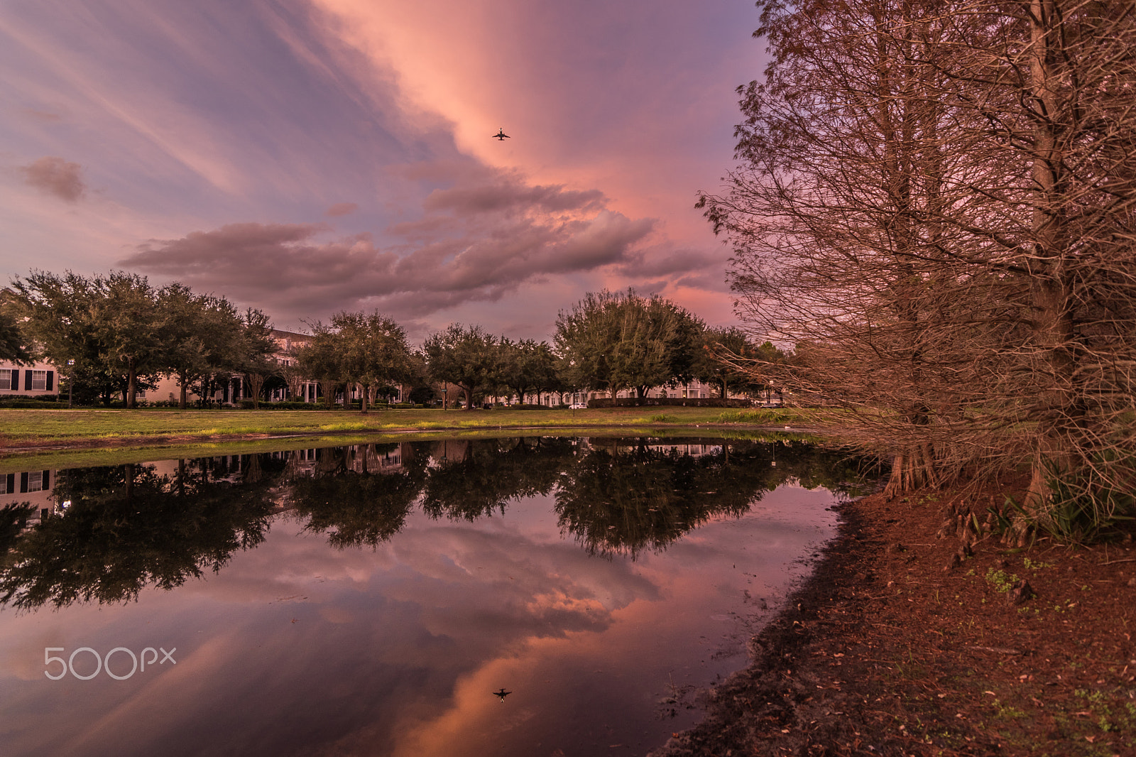 Nikon D5500 sample photo. Reflecting pond photography